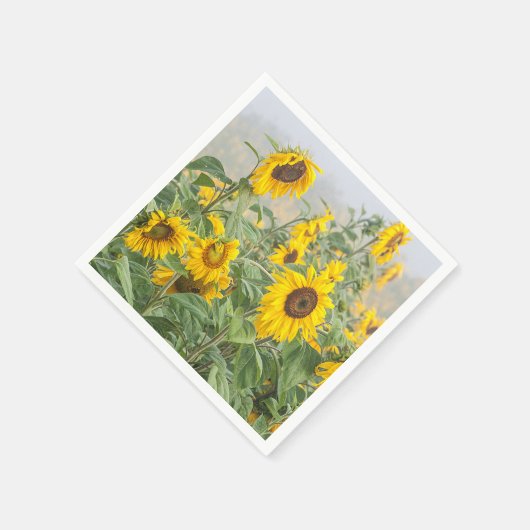 Sonnenblumenfeld Gelb Grün Schöne Blüte Serviette (Ecke)