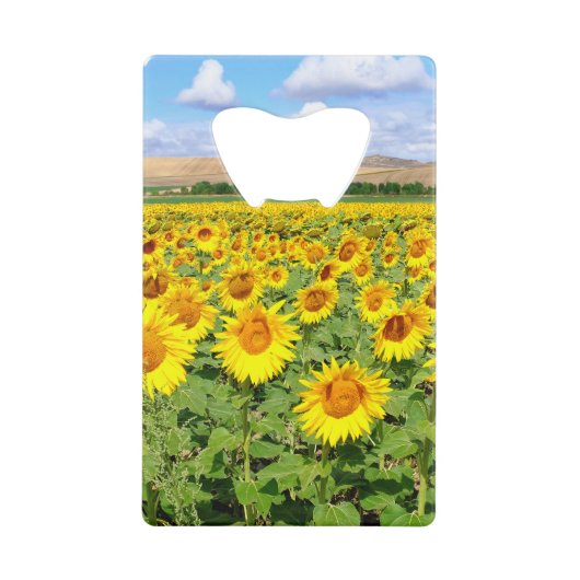 Sonnenblumenfeld Geldbeutel Flaschenöffner (Vorderseite)