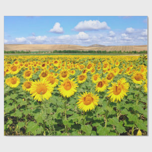 Sonnenblumenfeld Geschenkpapier
