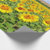 Sonnenblumenfeld Geschenkpapier (Ecke)