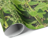 Sonnenblumenfeld Geschenkpapier (Rolleneckpunkt)