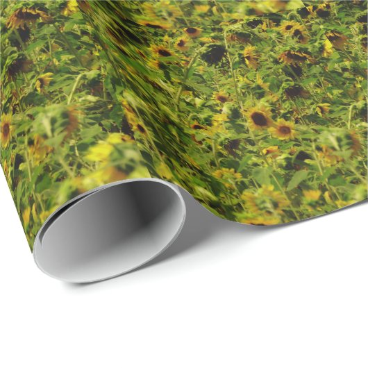 Sonnenblumenfeld Geschenkpapier (Rolleneckpunkt)