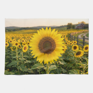 Sonnenblumenfeld Geschirrtuch