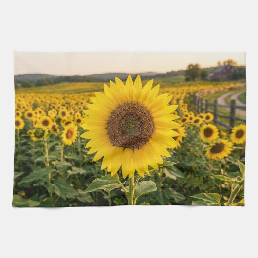 Sonnenblumenfeld Geschirrtuch (Horizontal)