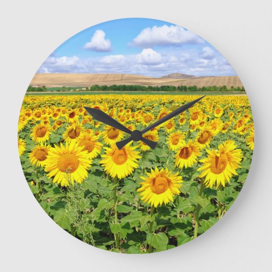 Sonnenblumenfeld Große Wanduhr (Vorderseite)