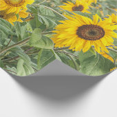 Sonnenblumenfeld grün Gelb Schönes Dekor Geschenkpapier (Ecke)
