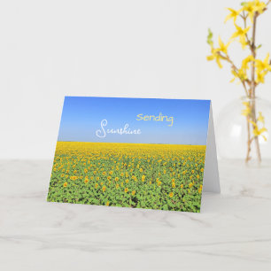 Sonnenblumenfeld Grußkarte 'Sonnenschein senden' Karte