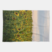 Sonnenblumenfeld im Abend Geschirrtuch (Horizontal)