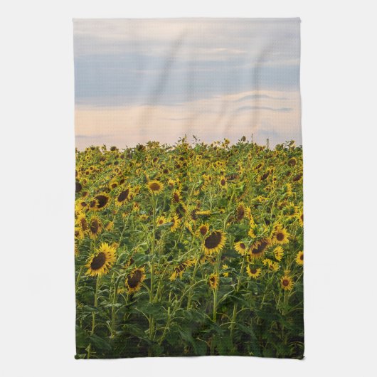Sonnenblumenfeld im Abend Geschirrtuch (Vertikal)