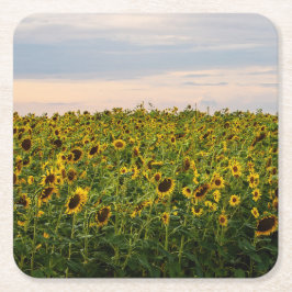 Sonnenblumenfeld im Abend Rechteckiger Pappuntersetzer