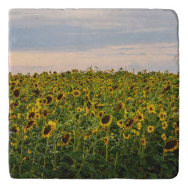 Sonnenblumenfeld im Abend Töpfeuntersetzer