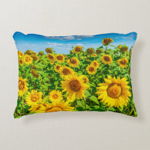 Sonnenblumenfeld im Sommer Sonnentag. malerisch Dekokissen