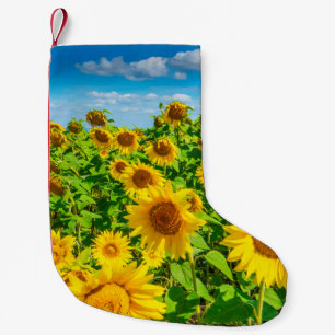 Sonnenblumenfeld im Sommer Sonnentag. malerisch Kleiner Weihnachtsstrumpf