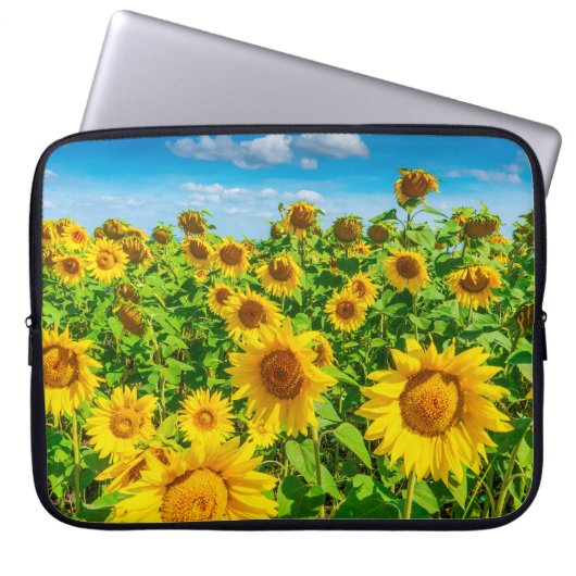 Sonnenblumenfeld im Sommer Sonnentag. malerisch Laptopschutzhülle (Vorderseite)