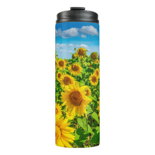 Sonnenblumenfeld im Sommer Sonnentag. malerisch Thermosbecher