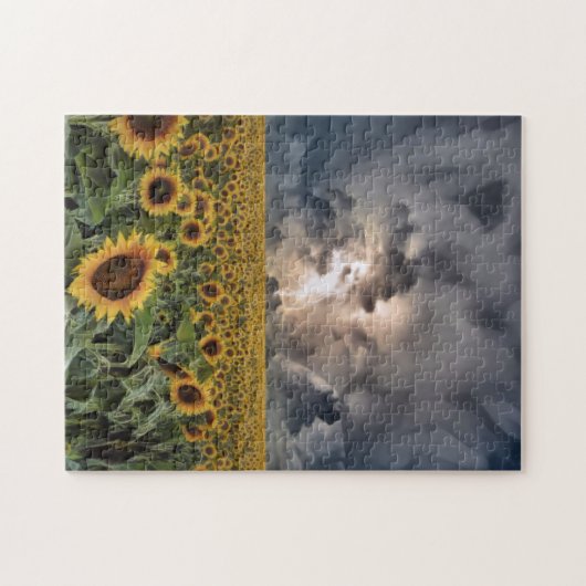 Sonnenblumenfeld in einem Sturm Puzzle (Horizontal)