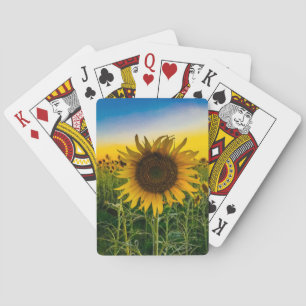 Sonnenblumenfeld in Kansas Spielkarten