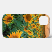 Sonnenblumenfeld in Longmont, Colorado Case-Mate iPhone Hülle (Rückseite (Horizontal))