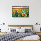 Sonnenblumenfeld in Longmont, Colorado Leinwanddruck (Insitu (Schlafzimmer))