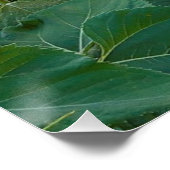 Sonnenblumenfeld in Longmont, Colorado Poster (Ecke)