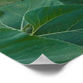 Sonnenblumenfeld in Longmont, Colorado Poster (Ecke)