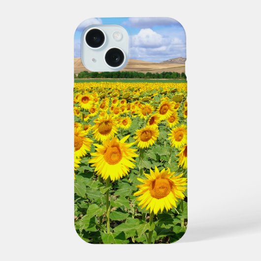 Sonnenblumenfeld iPhone 15 Hülle (Rückseite)