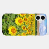 Sonnenblumenfeld iPhone Hülle (Rückseite (Horizontal))