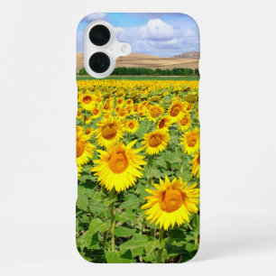 Sonnenblumenfeld iPhone 16 Plus Hülle