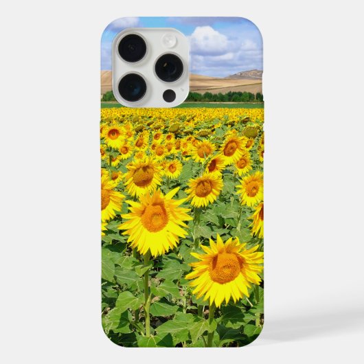 Sonnenblumenfeld iPhone Hülle (Rückseite)