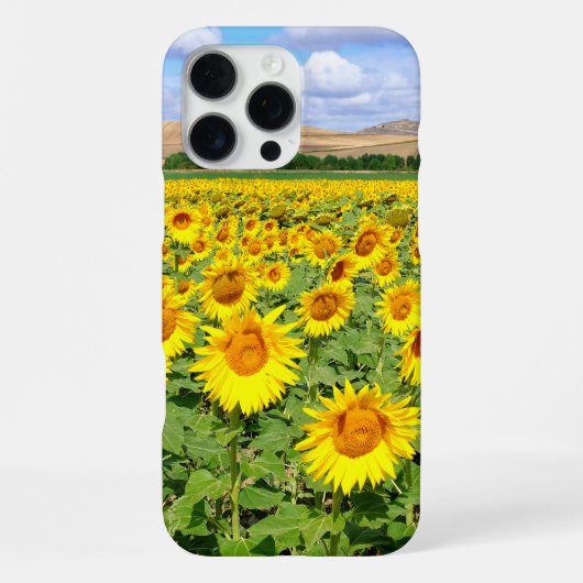 Sonnenblumenfeld iPhone Hülle (Rückseite)