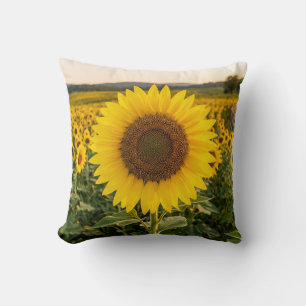 Sonnenblumenfeld Kissen
