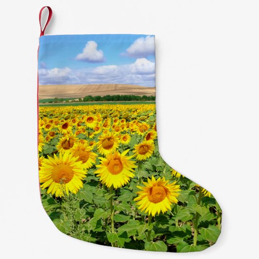 Sonnenblumenfeld Kleiner Weihnachtsstrumpf (Vorderseite)