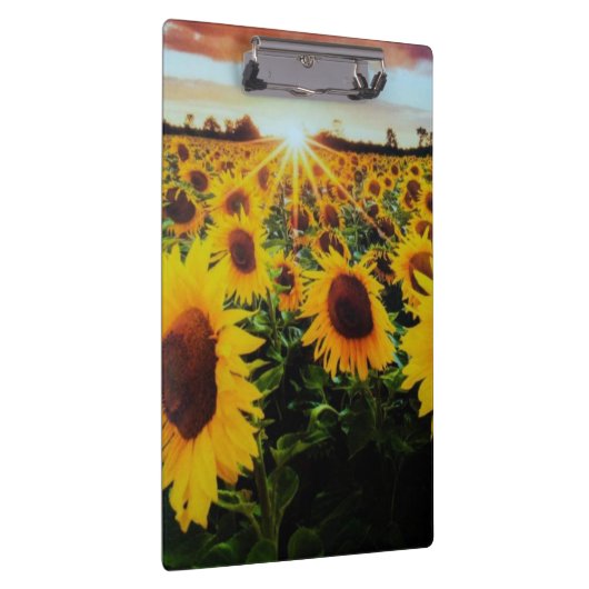 Sonnenblumenfeld Klemmbrett (Rechts)