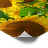Sonnenblumenfeld mit Blumen Poster (Ecke)