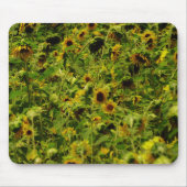 Sonnenblumenfeld Mousepad (Vorne)