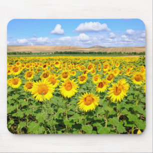 Sonnenblumenfeld Mousepad