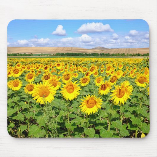 Sonnenblumenfeld Mousepad (Vorne)