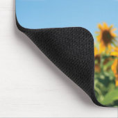 Sonnenblumenfeld Mousepad (Ecke)