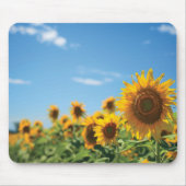 Sonnenblumenfeld Mousepad (Vorne)