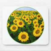 Sonnenblumenfeld Mousepad (Vorne)