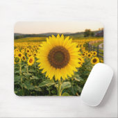 Sonnenblumenfeld Mousepad (Mit Mouse)
