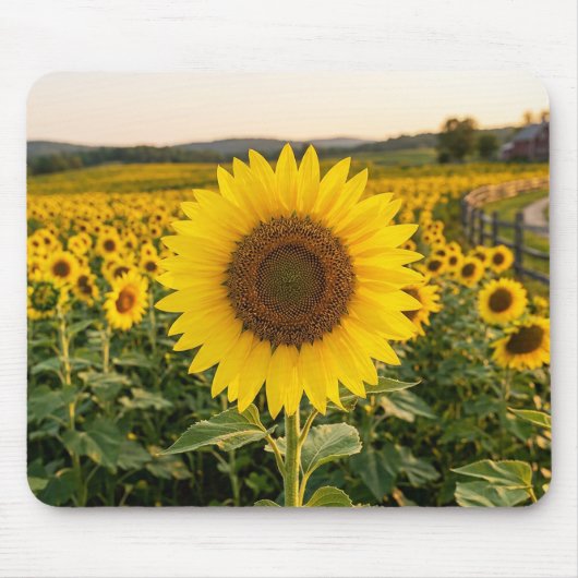 Sonnenblumenfeld Mousepad (Vorne)