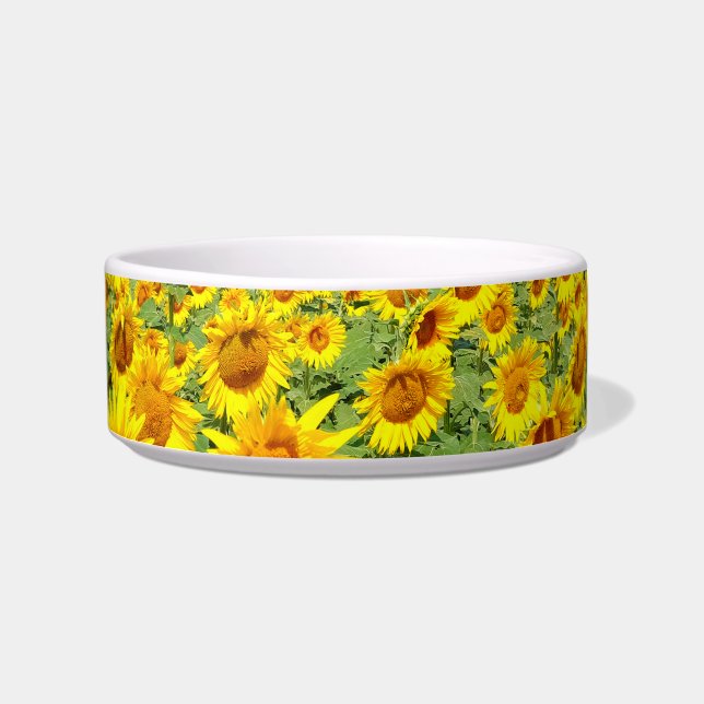 Sonnenblumenfeld Napf (Vorderseite)