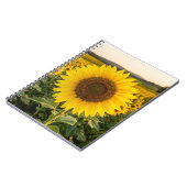 Sonnenblumenfeld Notizblock (Linke Seite)