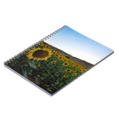 Sonnenblumenfeld Notizblock (Linke Seite)