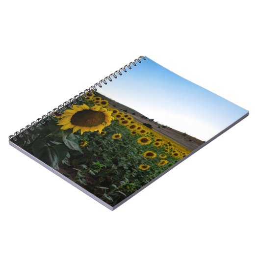 Sonnenblumenfeld Notizblock (Linke Seite)