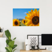 Sonnenblumenfeld Poster (Heimbüro)