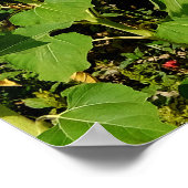 Sonnenblumenfeld Poster (Ecke)