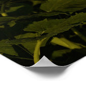 Sonnenblumenfeld Poster (Ecke)