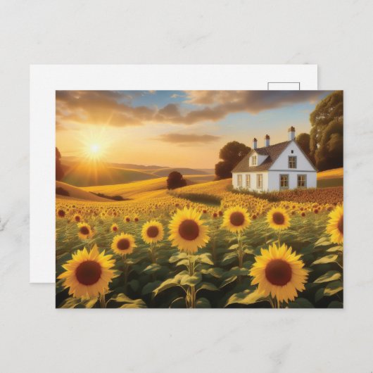 Sonnenblumenfeld Postkarte (Vorne/Hinten)